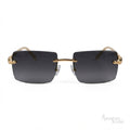 Cartier Sunglasses Panthère CT0430S 001 – Black - View 1