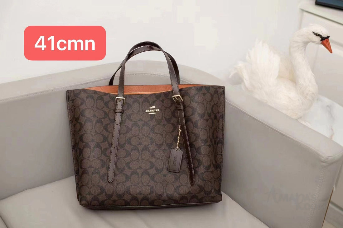 Coach Bag Mollie Tote in Signature Canvas – product view