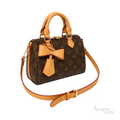 Louis Vuitton Speedy 20 Monogram Canvas Tan Bag – product view