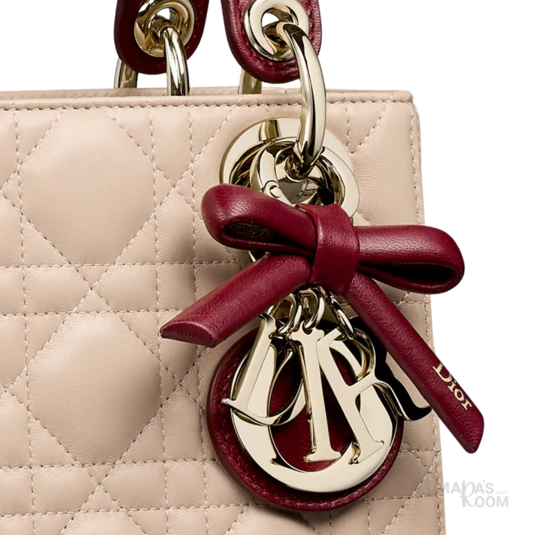 Dior Mini Lady Bag – White & Burgundy - View 4