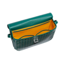 Goyard Belvedere Crossbody Bag – Green - View 2