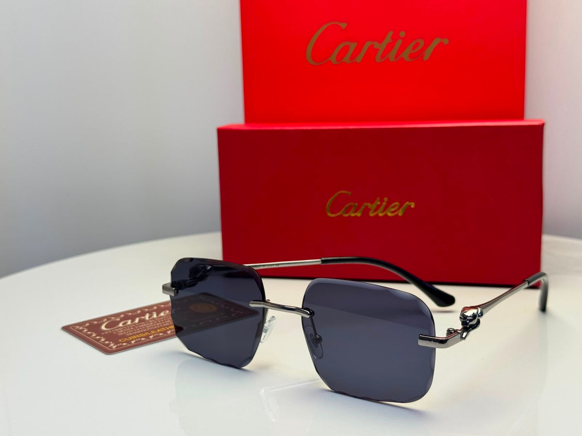 Cartier Sunglasses Pasha de Cartier CT0403S – Dark Lenses - View 3