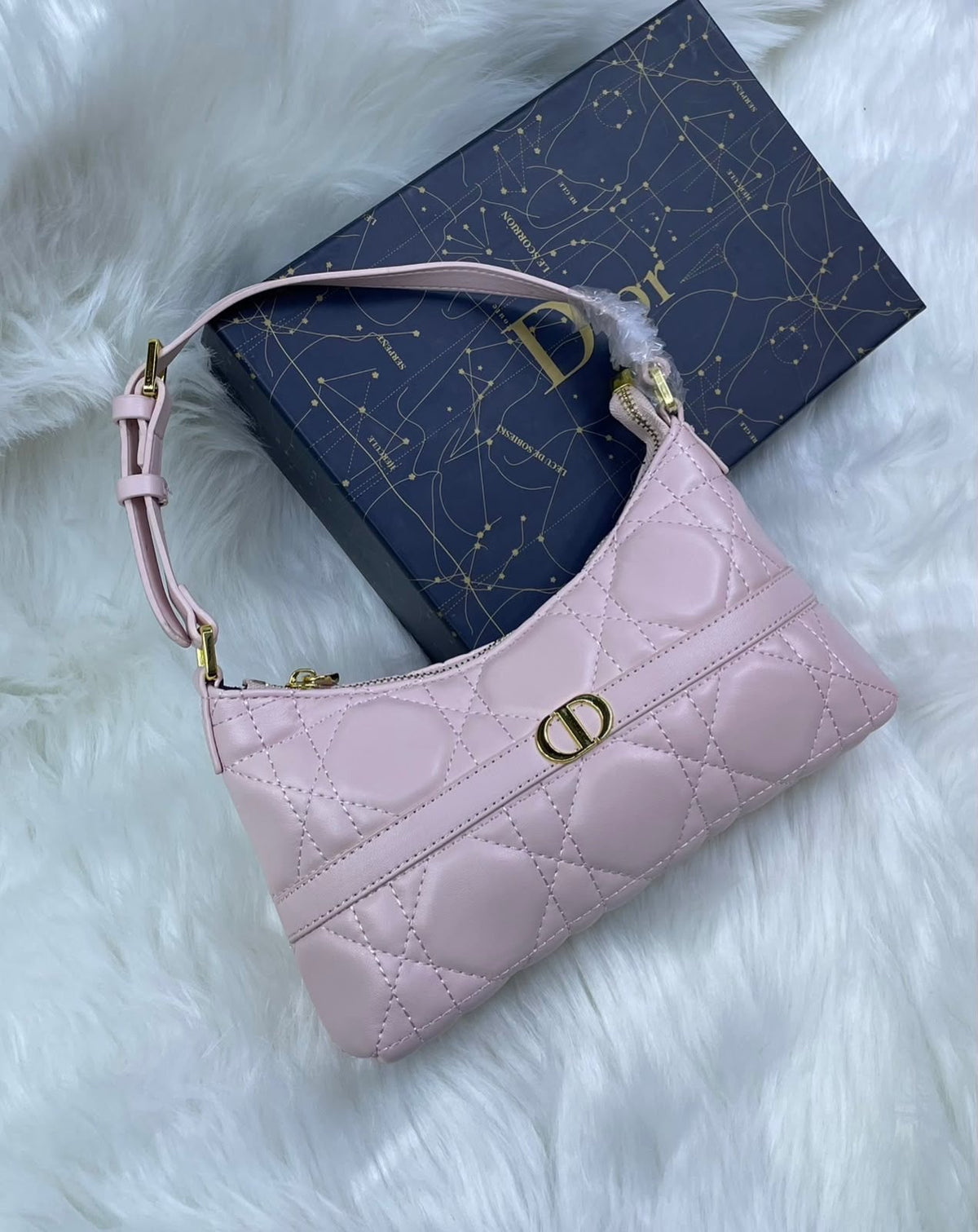 Dior Miss Caro Hobo Mini Bag – Powder Pink - View 4