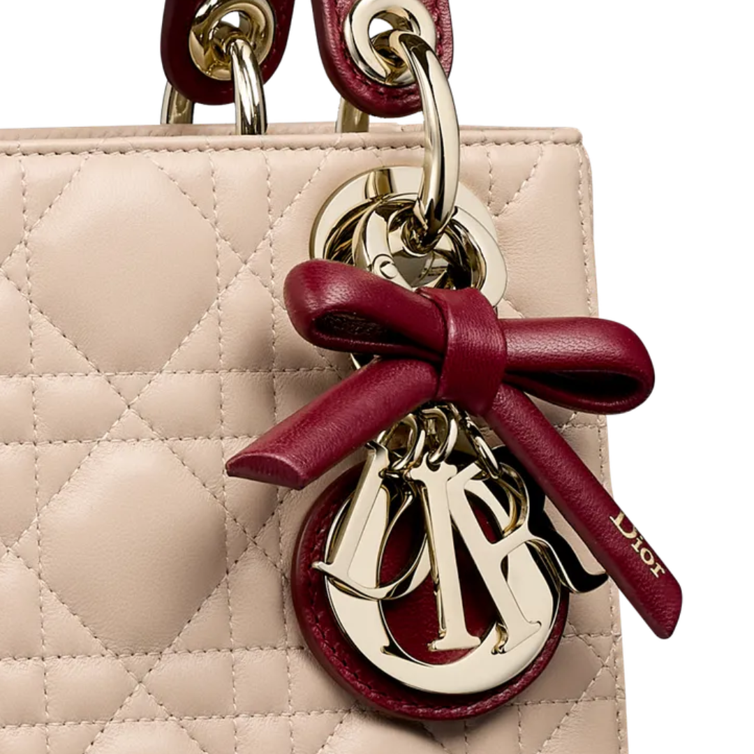 Dior Mini Lady Bag – White & Burgundy - View 4