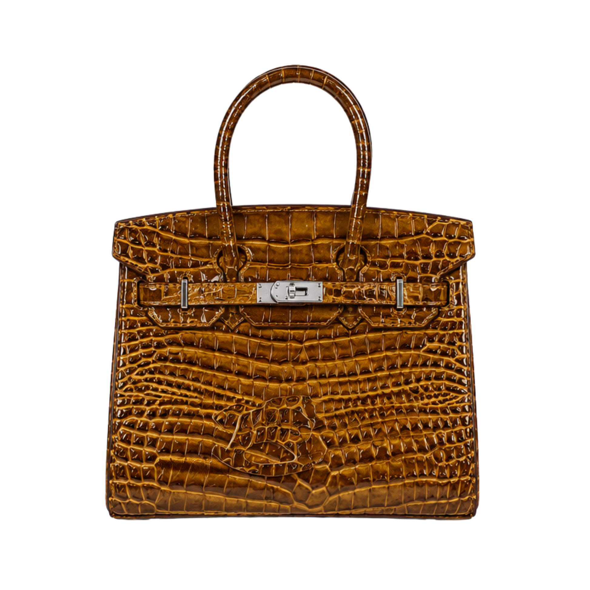 Hermes Brown Porosus Crocodile Bag - image 1