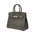 Hermes Grey Crocodile Bag - image 2