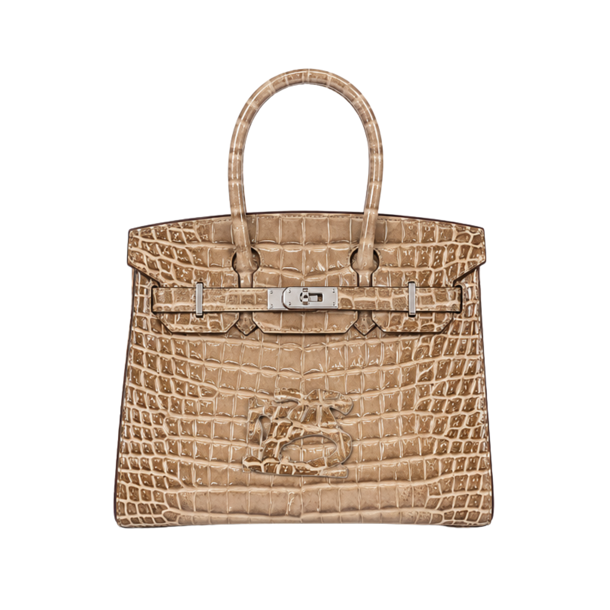 Hermes Poussiere Alligator Bag - image 1