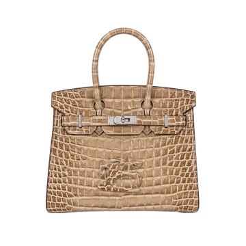 Hermes Poussiere Alligator Bag - image 1