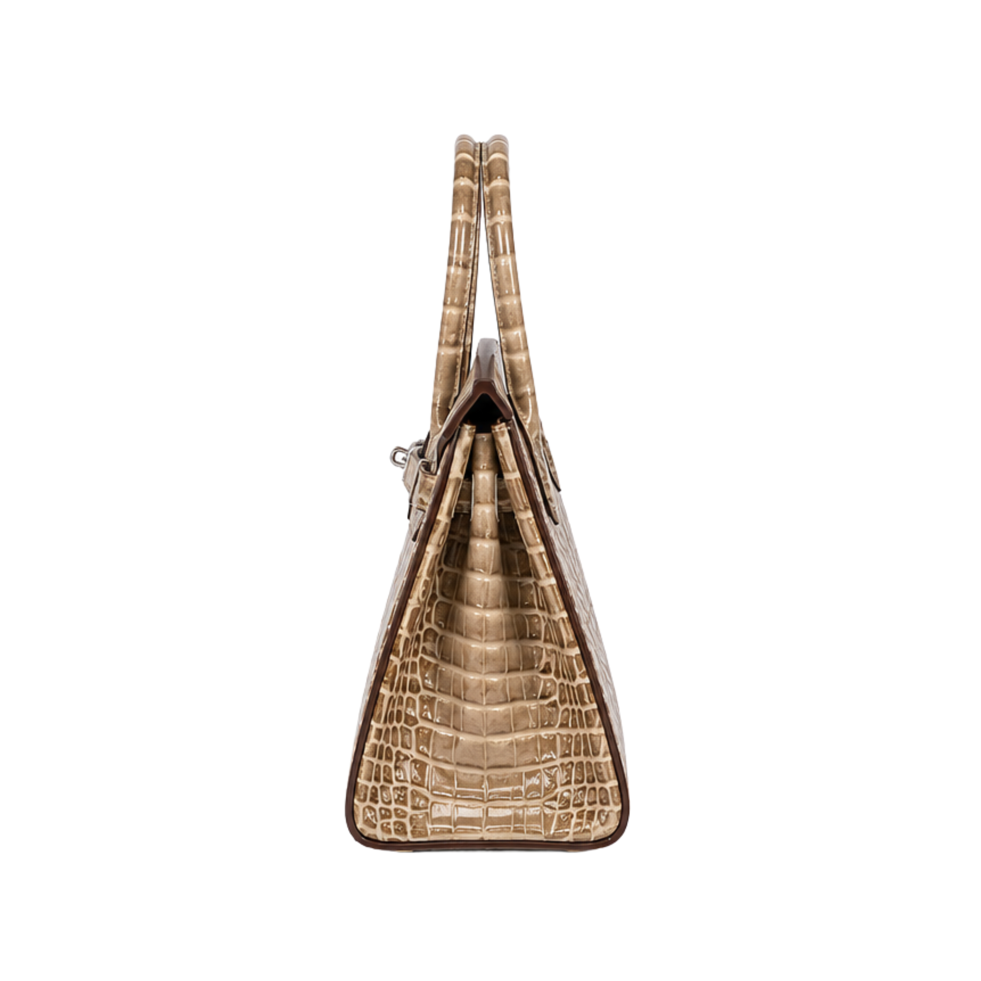 Hermes Poussiere Alligator Bag - image 3