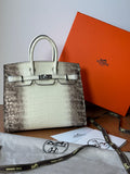 Hermès Bag | Exclusive Piece 098
