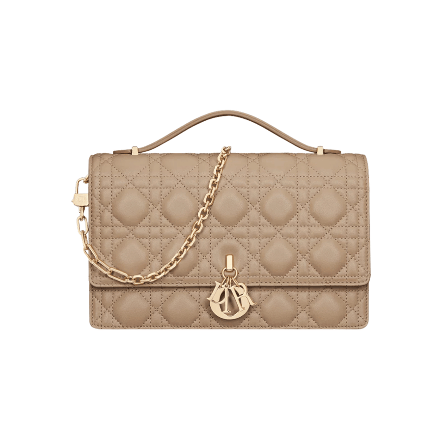 Dior Bag | My Top Handle Bag