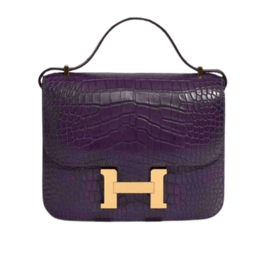 Hermès Bag | Constance Purple Croc