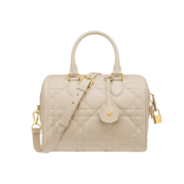 Dior Bag | Groove 25 Bag