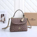 Luxury Bag | Normal Bag 194